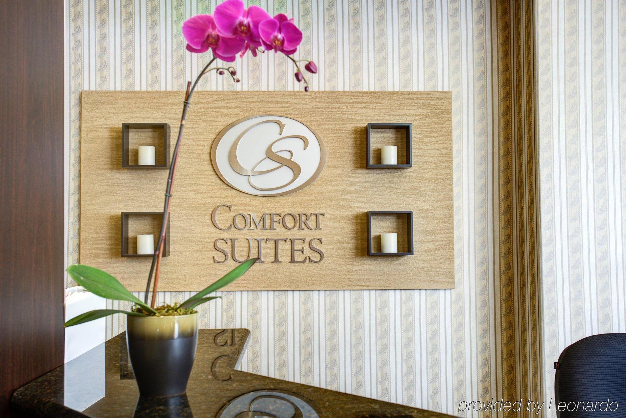 Comfort Suites San Jose Airport מראה חיצוני תמונה